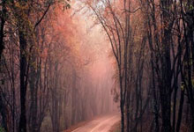 南宫28:西甲:巴塞罗那三球完胜奥萨苏纳.