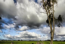 南宫28：澳网抽签揭晓，郑钦文与萨巴伦卡同区，张之臻首轮对丹麦名将环球时报.