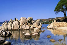 南宫28:崔永熙完成手术逐步进入康复期北京青年报.